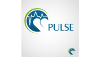 Pulsee Campaign IT Coupon