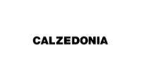 Calzedonia AT Coupon