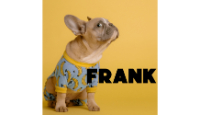 Frank Pet Insurance Voucher