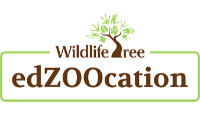 Wildlife Tree Coupon